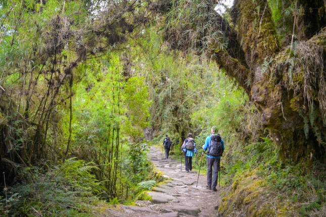 Zum aktuellen Stand im Sommer 2017 dürfen pro Tag 400 Wanderer auf dem Inkatrail unterwegs sein.